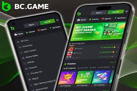 Discover the Exciting World of BC.Game Online Crypto Casino